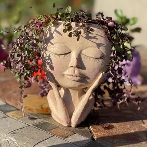 Succulent plants in face head planter